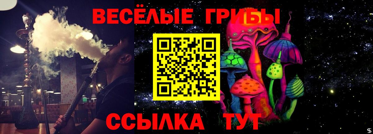 Псилоцибиновые грибы мицелий  Вход с VPN  даркнет сайт  Галлюциногенные грибы MAGIC MUSHROOMS  Чистополь 